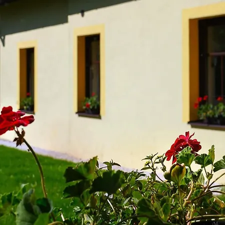 Luxe In Bernartice, Ook Voor Groepen Kkh045 Villa Bernartice (Trutnov)
